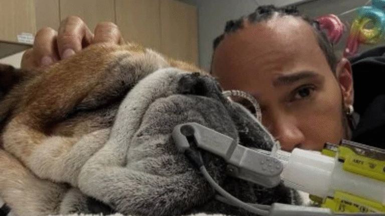 untitled design 4.png